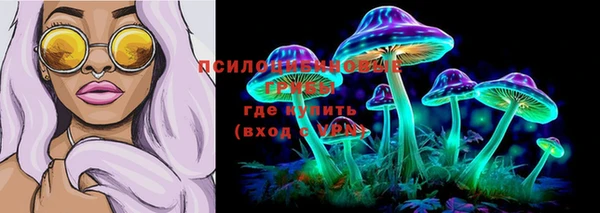 ПСИЛОЦИБИНОВЫЕ ГРИБЫ Краснослободск