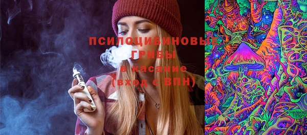 дурь Краснотурьинск