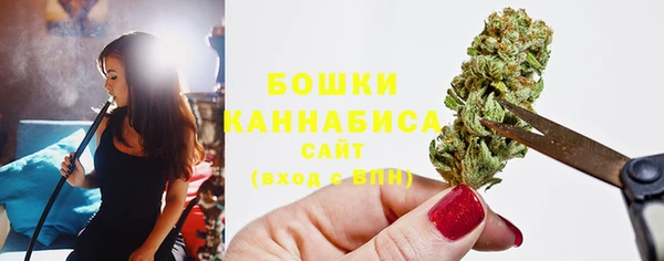ПСИЛОЦИБИНОВЫЕ ГРИБЫ Краснослободск
