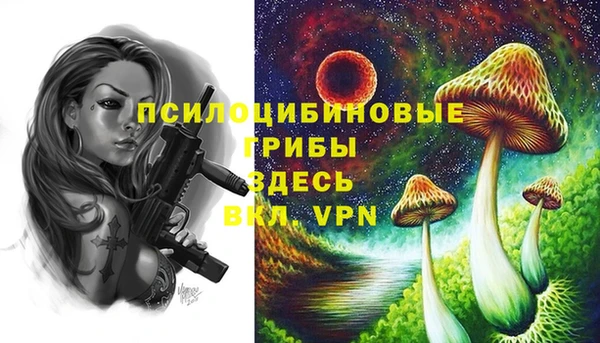 дурь Краснотурьинск