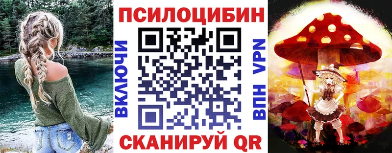 Купить закладки  Богородицк  Галлюциногенные грибы мухоморы 