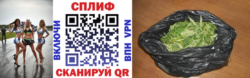 Конопля план  Купить  Богородицк 
